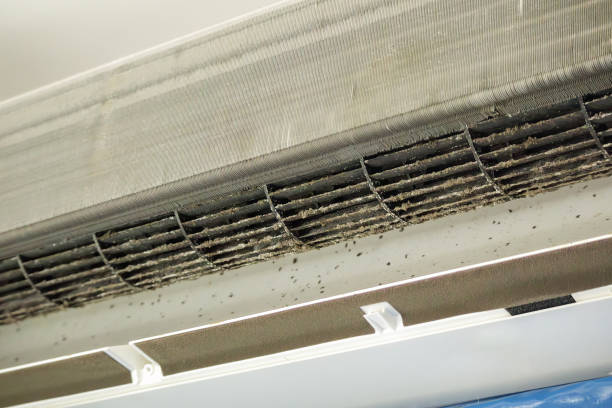 Best Dryer Vent Cleaning in Eden, TX